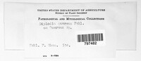 Image Associated With the Occurence